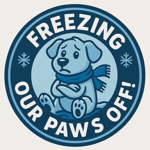 Team Page: FREEZING OUR PAWS OFF!
